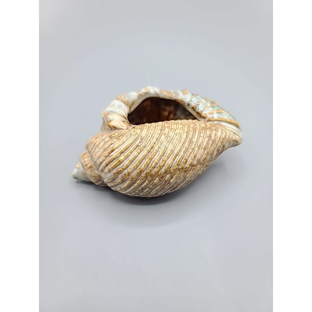 Ceramic Glaze Shell Shape Decorative Trinket Planter